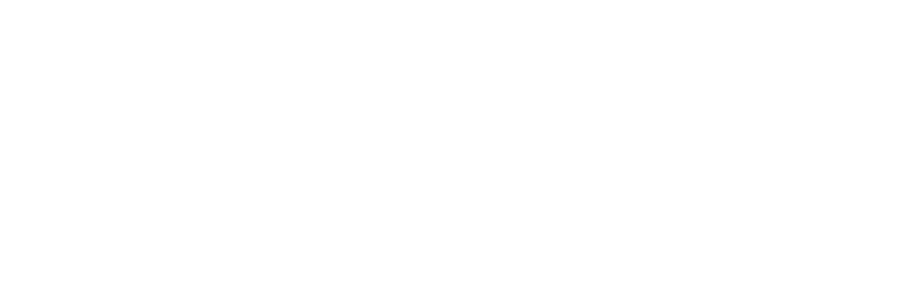 Partner logo 13