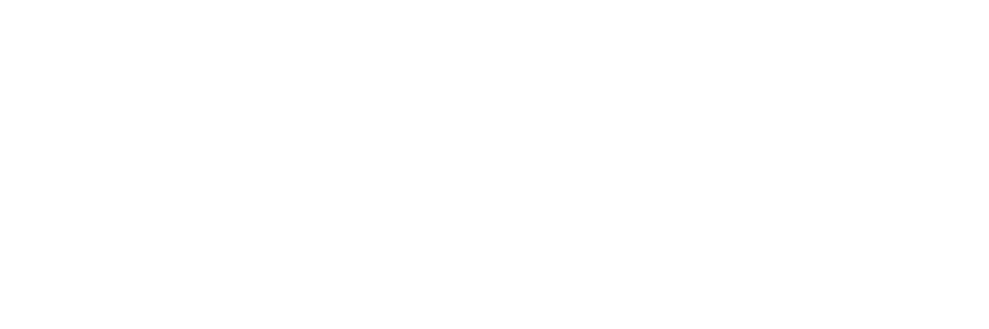 Plesni center Feniks